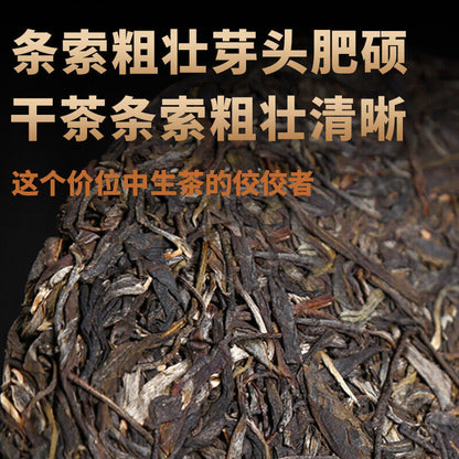 Spring Tea Pu'er Tea Raw Tea Four Major Icelandic 357g Qingyun Puerh Cake Tea