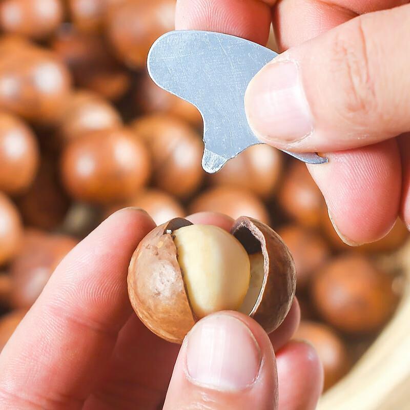 Macadamia Nuts Snacks Creamy Flavor 100g Casual Dried Fruits Healthy Snack