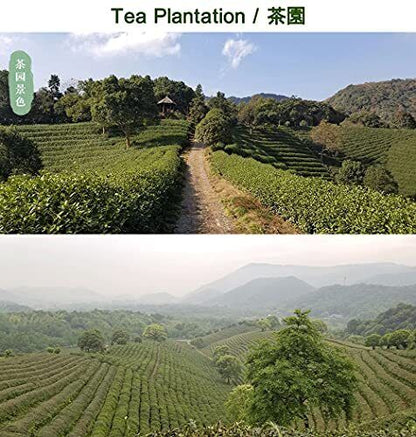 West Lake Longjing Tea Dragon Well Green Tea Leaves , Pick Before Qingming 125g