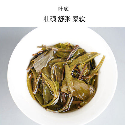 Haiwan Lao Tong Zhi Old Comerade 7548 Pu-erh Tea Cake Sheng 2021 357g Raw Pu'er