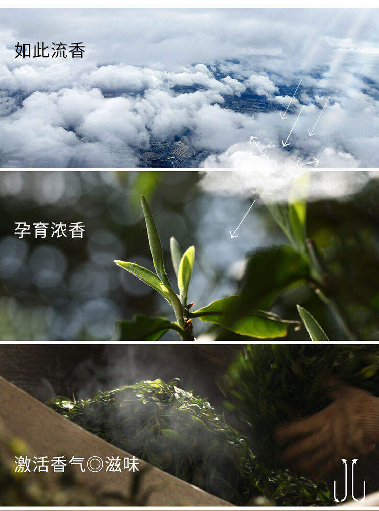 Pu-Erh, old comrade, Liuxiang, 2021y,200g,Ripe