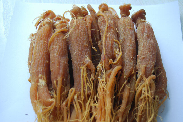 500g KOREAN RED MOUNTAIN GINSENG ROOTS HEAVEN 6 YEARS 1.1LB FREE SHIPPING