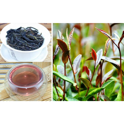 500g Puerh Tea Zijuan Loose Tea Pu'er Black Tea Weight Loss Healthy Drink