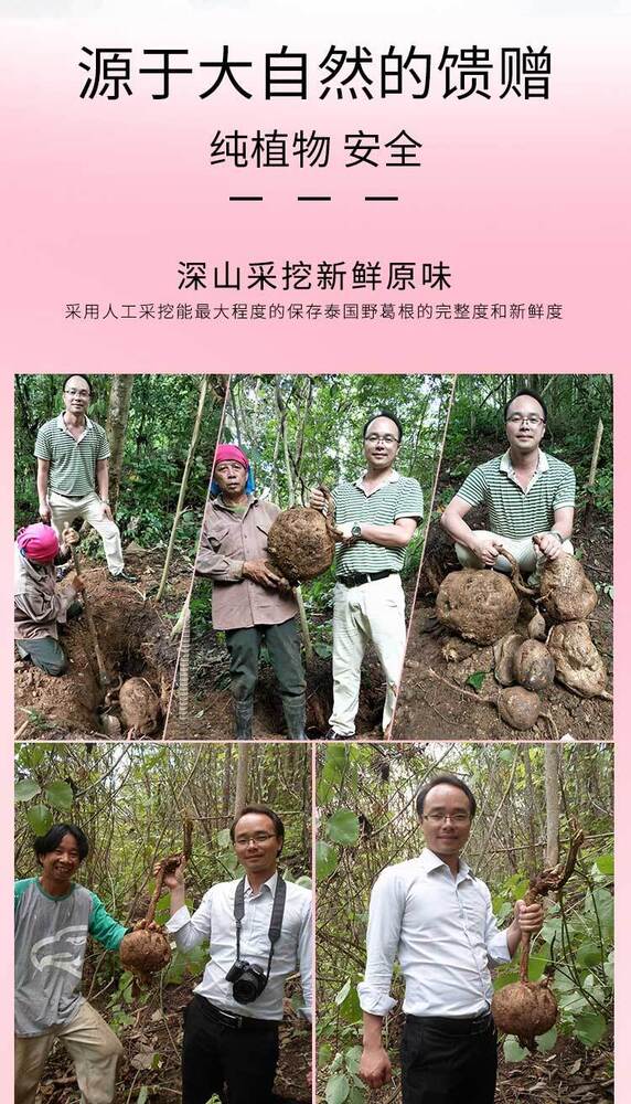 Pueraria Mirifica/white Kwao Krua/natural Dried Tablet/tea And Soup For Women