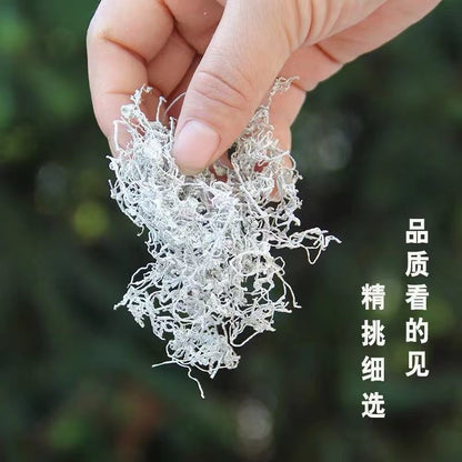 Premium Quality Boost Immunity Herbal Tea Mei Tea 2023莓茶龙须芽尖嫩芽新茶张家界原产藤茶