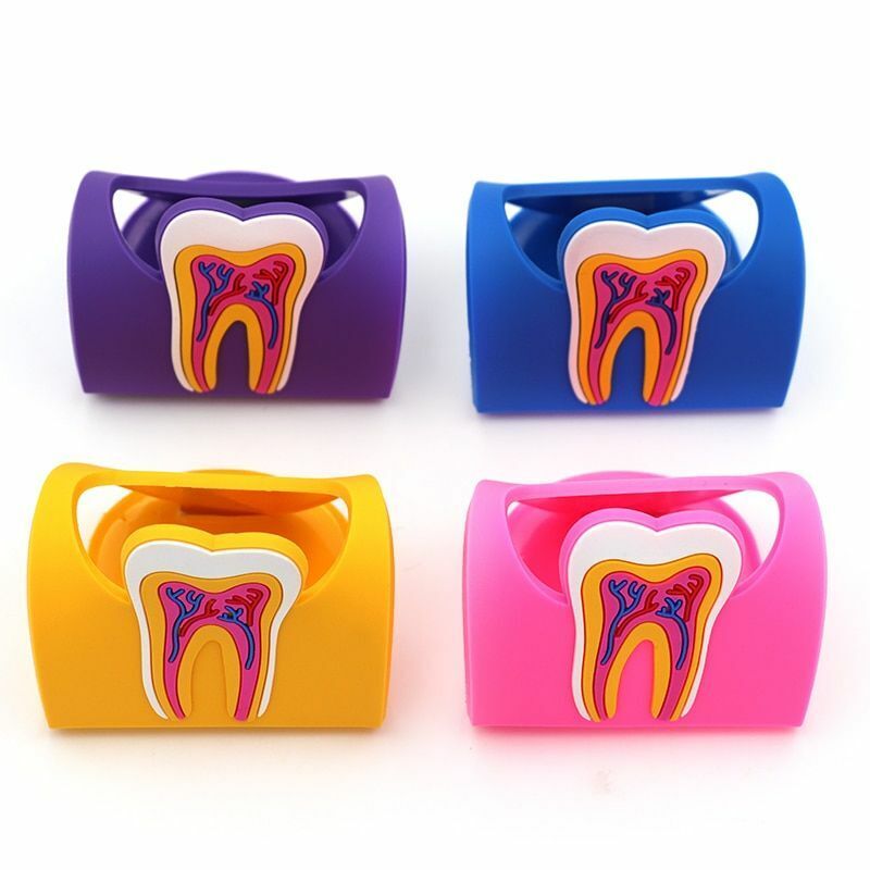 Dental Clinic Tooth Card Display Stands Colorful Rubber Teeth Molar Holder Decor