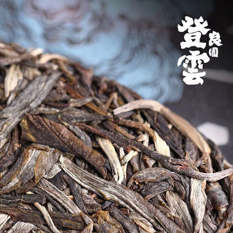 Haiwan 2018 Chinese Puer Tea Liang Yuan "Deng Yun" Old Tree Raw Puerh Pu'er 400g