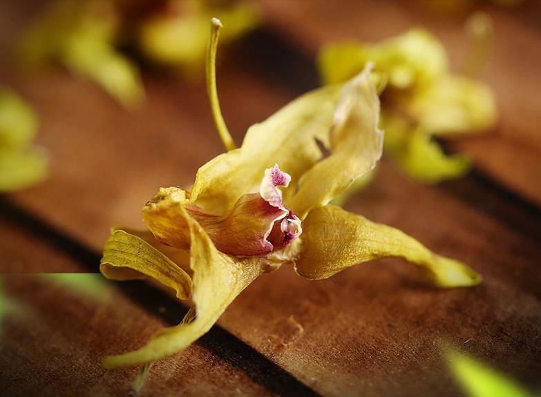 石斛花20g Tea Orchid Shihu Fengdou Blossom Dendrobii Dendrobium Flowers