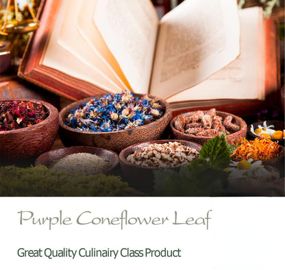 Purple Coneflower Herb Echenecia Tea - Immunity Support Tea - 100g