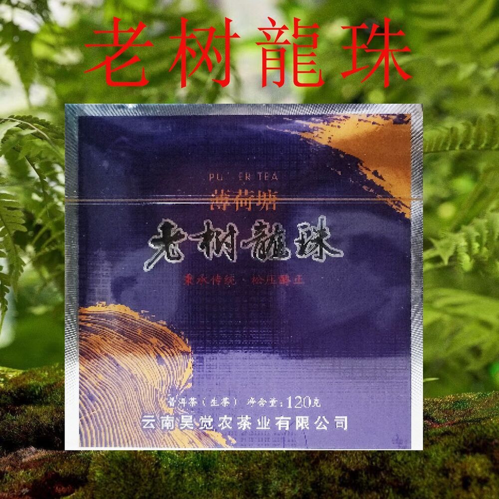 Mint Ho Tong Old Tree Dragon Pearl Loose Pressed Mellow Puerh Raw Tea 120g
