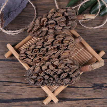 Organic Herbal Ford Manglietia Fruit Manglietia Fordiana Mu Lian Guo Top Quality