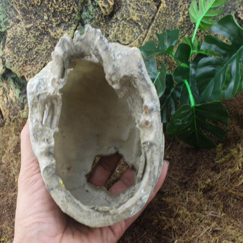 Aquarium Decoration Resin Head Skull Statue Lizard Terrarium Ornament 14x10x11cm