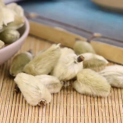 Original Xin Yi Hua Herbal Tea Flos Magnoliae Lilliflorae Magnolia Flower Buds