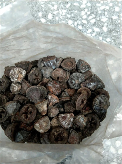 1000g Wild YiKouZhong /Chinese herbs 中药材云南野生一口钟 一口盅白树球扣子七 增强体质降脂健脾胃