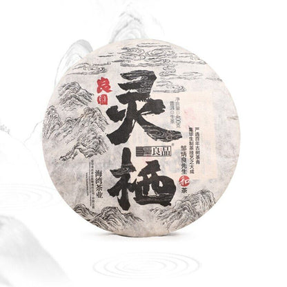 400g 2020 Top Old Comrade Liang Pin Ling Qi Shen Puer Tea Old Puer Tea Cake