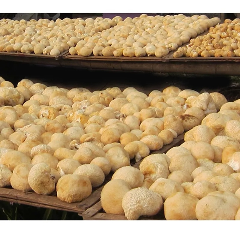 500g 100% Organic Dried Lion's Mane Mushroom Chinese Herbs Tea