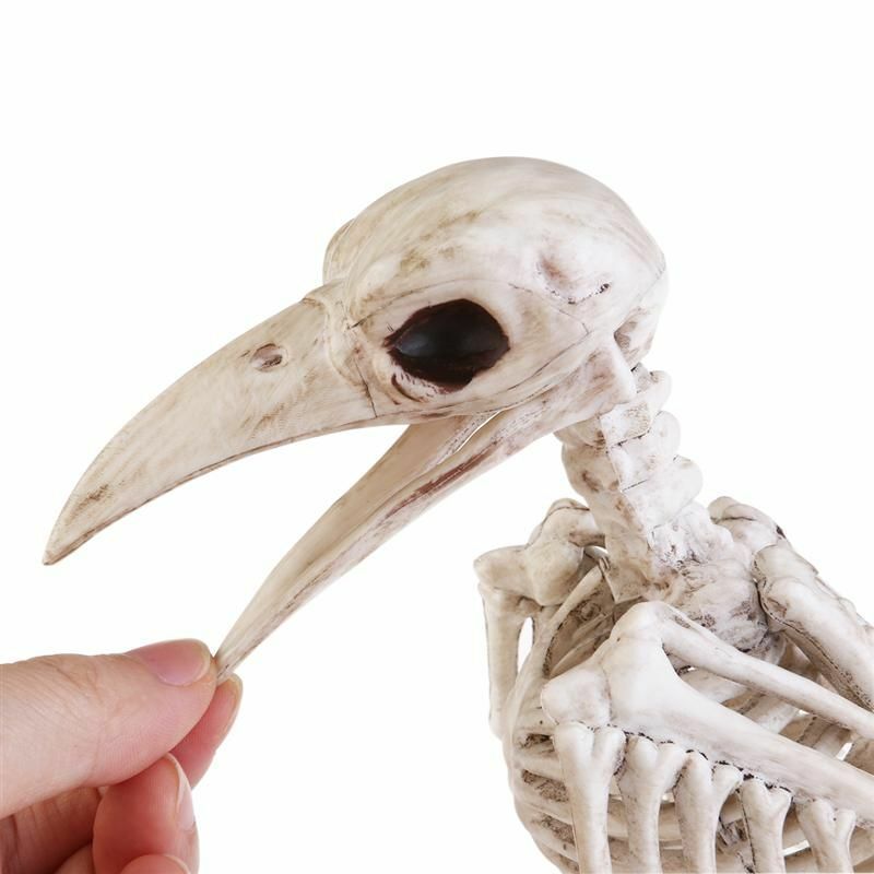 Animal Skeleton Bird Crow Raven Plastic Bones Horror Halloween Props 18x13x19cm