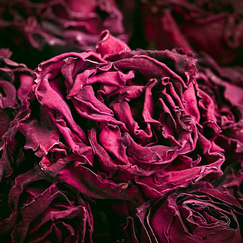 25G Ink Red Rose Tea Valentine's Day Gift Double Rose One Cup Herbal Tea