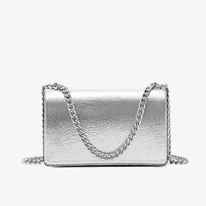 Women's Small Handbag Silver Party Chain Evening Bag Crossbody