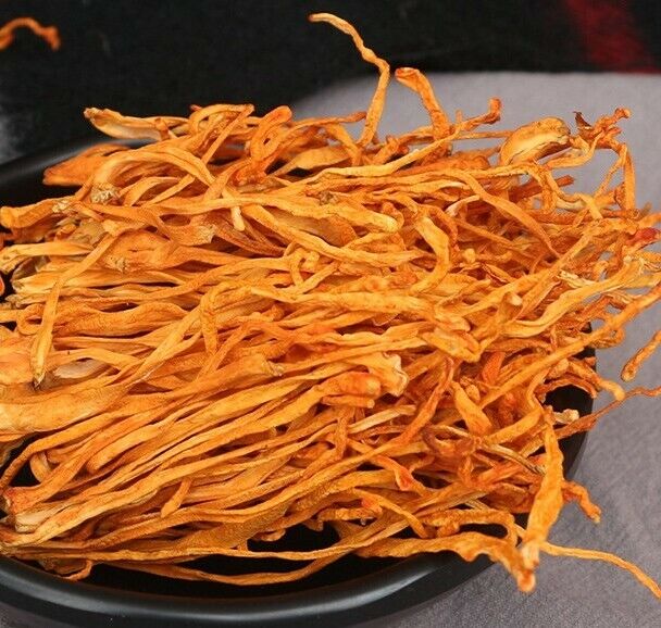 Dried Chinese Jin Chong Cao Herb Cordyceps Militaris Cordyceps Flower herbal