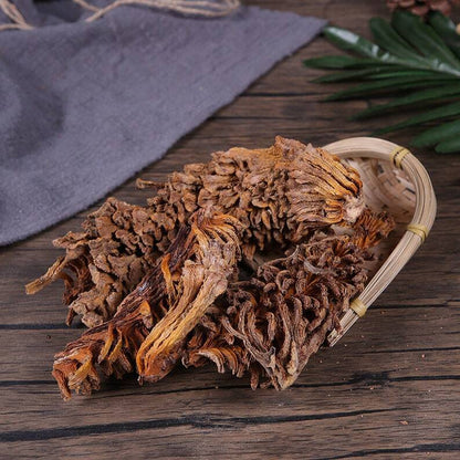 Dried Sago Palm Flower Natural Herbal Cycas Revoluta Tie Shu Hua Top Quality