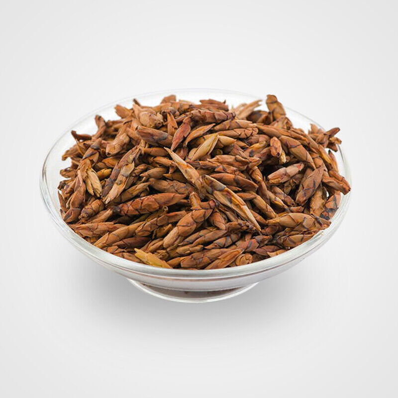 Supreme Wild Sichuan Lao Ying Cha Laoying Hawk Eagle China new Tea