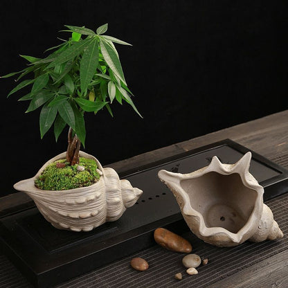 Flower Pot White Pottery Shell Shaped Succulent Plant Holder 21.5x11.5cm Ceramic