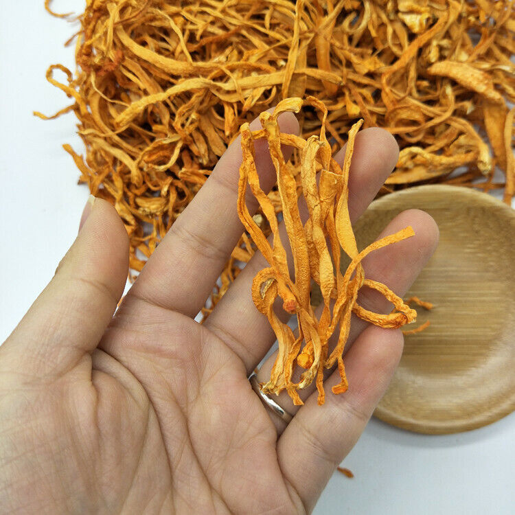 100g Chinese Cordyceps Flower Chong Cao Hua Anti-aging Lowering Blood Pressure
