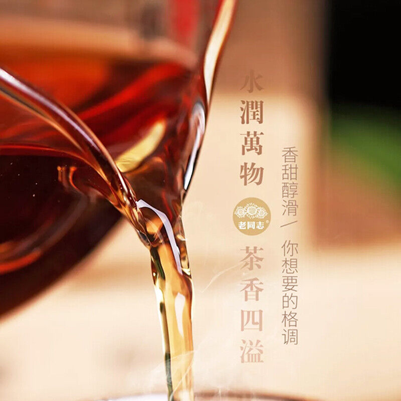 250g Classic 1999 Pu-erh Brick Tea Haiwan Old Comrade Puer Old Tree Puerh Tea