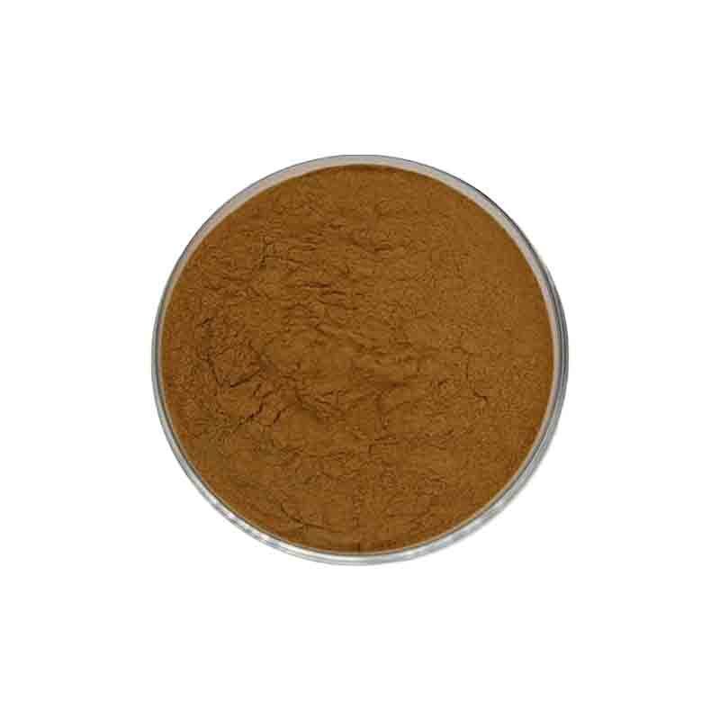 100g~500g Pure Wild AJUGA TURKESTANICA 30:1 Extract Powder
