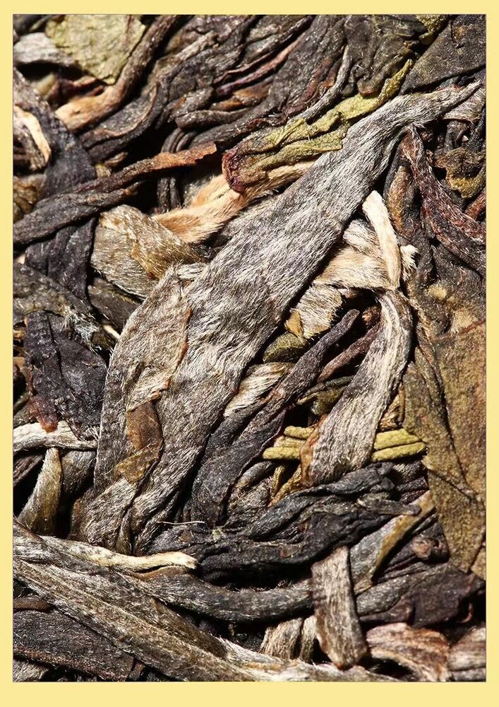 Pu Erh, Sheng Jiayuan, Kunlushan, 2020y, 357g