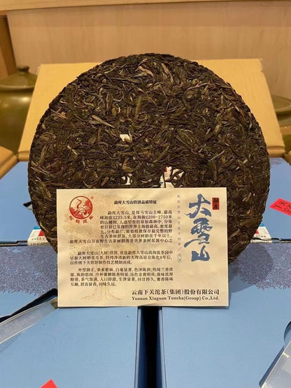 2022 Xiaguan Mengku Big Snow Mountain Discus Big Tree Pu'er Puer Raw Tea 357g