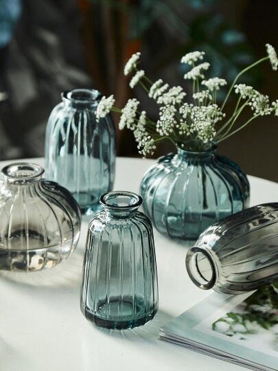 Relief Small Glass Vase Hydroponic Terrarium