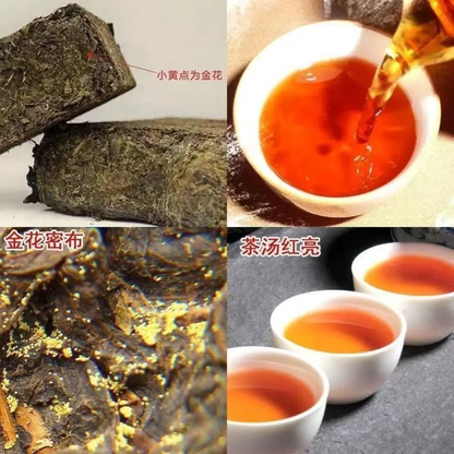 Hunan Fu Tea Fucha Special Made Yiyang Anhua Dark Tea Hei Cha Fu Brick Tea 300g
