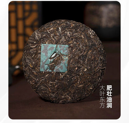 2023 pu erh LAO TONG ZH DA YE DONG FANG RAW Puerh Tee Puer big leaf Tea 普洱茶,357g