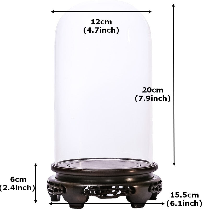 New Glass Display Dome Ebony Wood Base Case Cloche Globe Cover Protection Decor