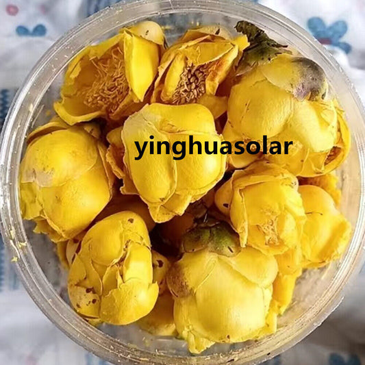 广西金花茶正宗天然金花大朵野生冻干当季特级养生花 East Naturhus Queen of Flowers Golden Flower Tea 25/50g