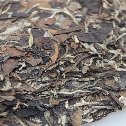 High Mountain Sun Natural Organic Aged Old White Tea