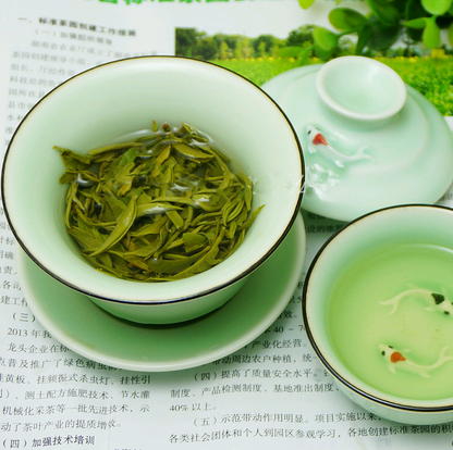 BiLuoChun Green Tea,Green Snail New Spring Tea, Premium Chinese Green Health Tea