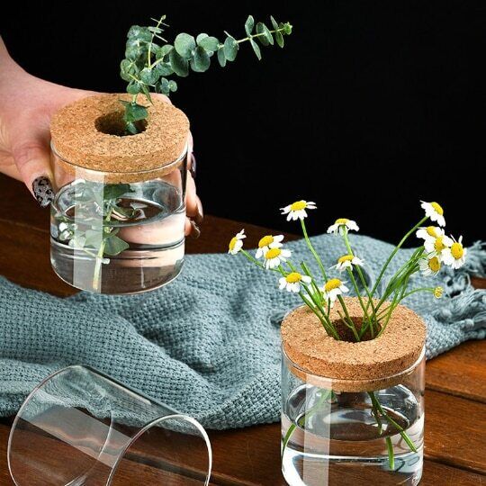 Glass Decorative Vase Hydroponic Glass Bottle Hydroponic Ecological Bottle