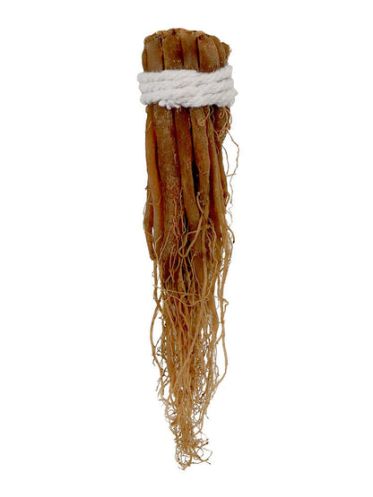Red Korean Panax Ginseng Roots Root Pieces Chinese Herbal Tea Herbs Health Food