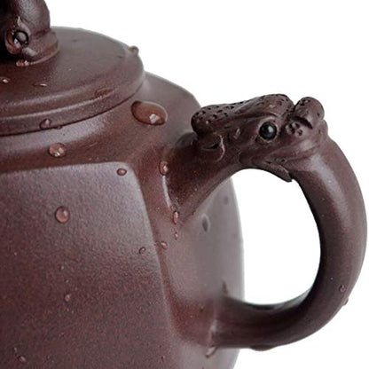 zisha clay Teapot 330ml Chinese Yixing tea pot Dragon Lion hexagonal Pot Purple