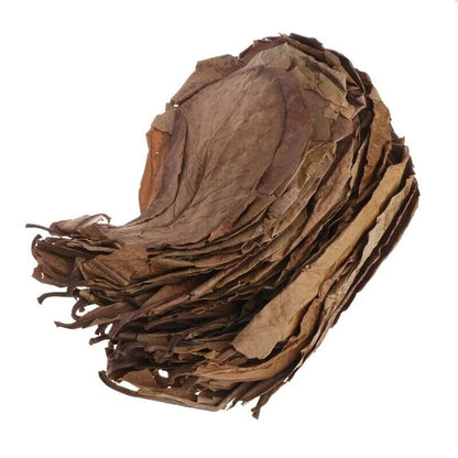 Aquariums Almond Leaves 50 Pcs Catappa Leaf Fish Tank Water Cleaning Accessories