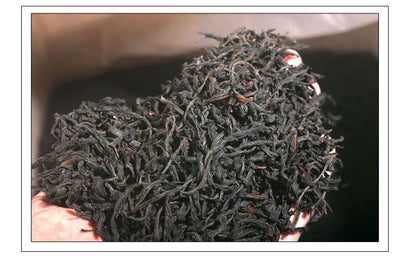 Zhengshan Xiaojiao Black Tea Tongmuguan Tea Strong Aroma Canned Spring Tea 125g