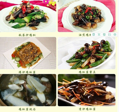 YunNan black termitomyces albuminosus Dried mushroom