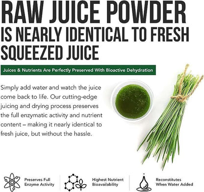 Green Tea Barley Grass Powdered Drink Gluten-Free Soy-Free Vegan & Paleo 250g