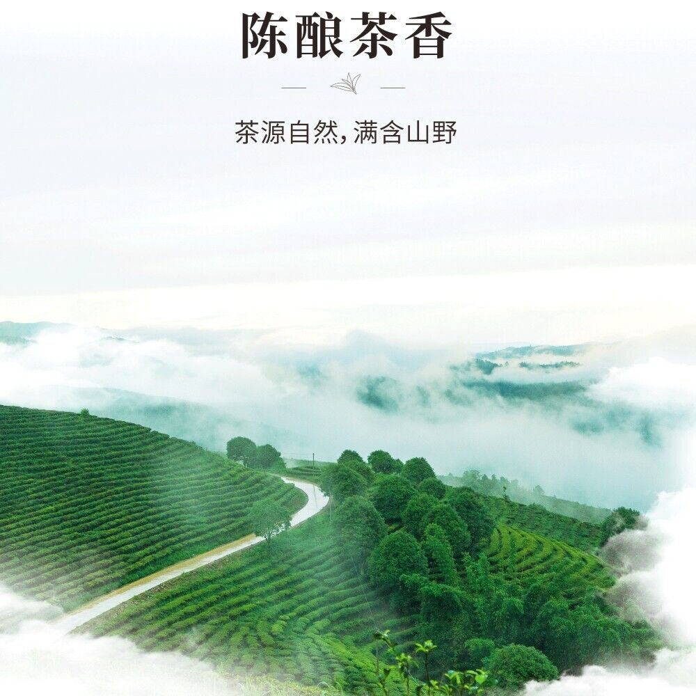 Pu 'er tea, 2021, Yihuaqing cake Yihuaqing cake, 357g, ready to eat.