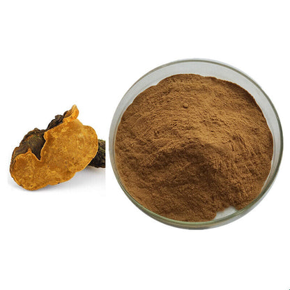 Phellinus Linteus Song-Gen Extract 30:1 Powder Meshimakobu Mushroom 100g~500g