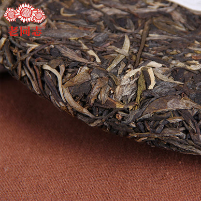 中国茗茶 Top Haiwan Tea High Quality Raw Pu Erh 深山老树茶 Raw Pu Erh Tea 500g