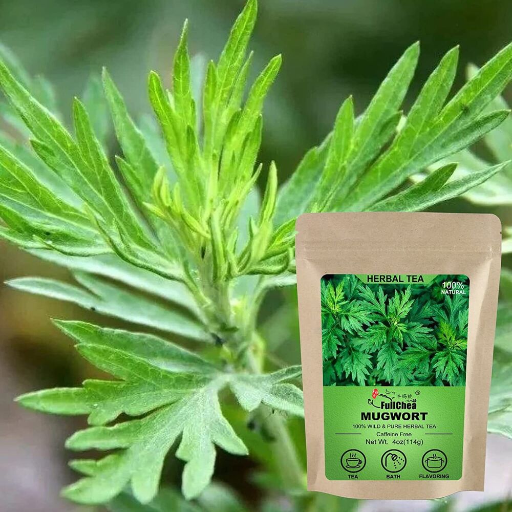 2023 FullChea Dried Mugwort Natural Herb 114g - Superior Dried Mugwort Tea